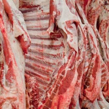 Argentina planea exportar 720 mil toneladas de carne