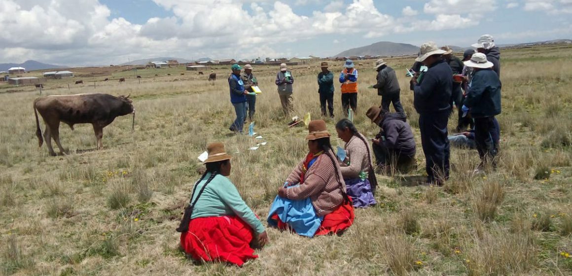 Minagri impulsa ganadería familiar en Puno