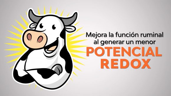 para mi neyyyyyyy Procreatin7: la mejor solución para el estrés calórico en vacas