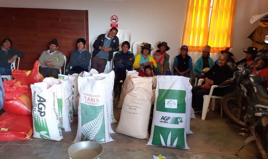 Más de 350 kg de pastos