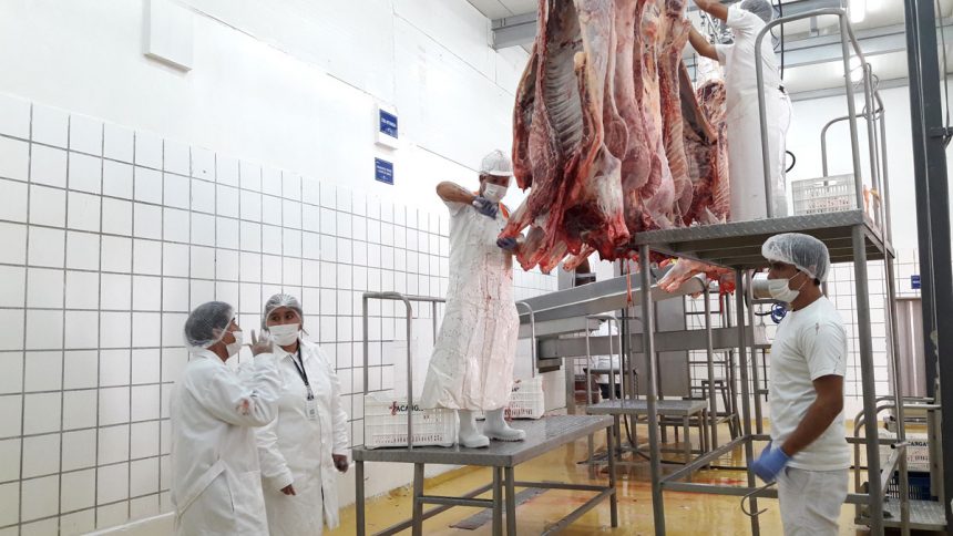 Cajamarca inició implementación de mataderos Cajamarca inició implementación de mataderos