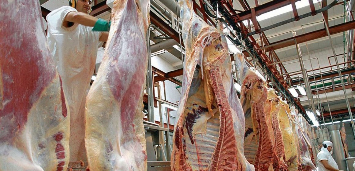 Australia trabaja para evitar cierre de mataderos