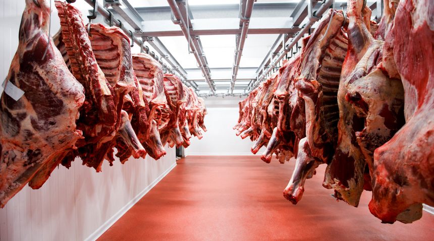 IMAGEN DESTACADA WEB_Mesa de trabajo 1 USDA propone un nuevo sistema de etiquetado para la carne de vacuno