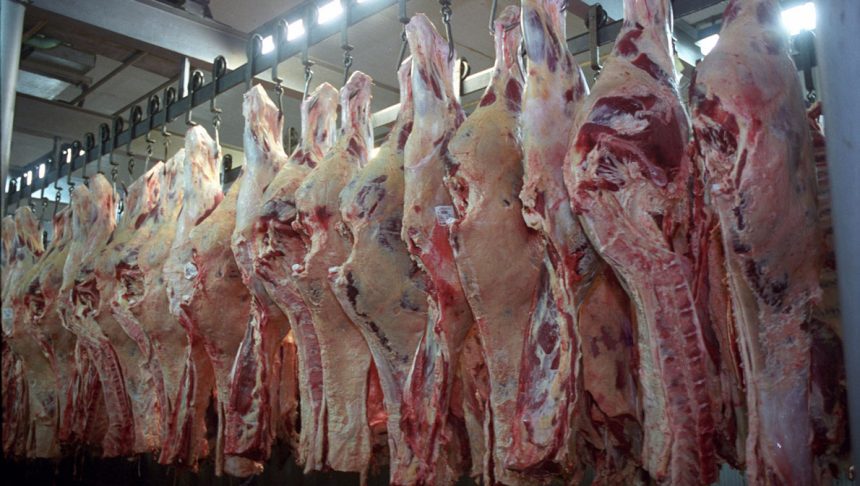 Bolivia garantiza seguridad alimentaria y abastecimiento de carne