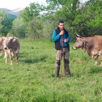 COVID-19: el día a día de los ganaderos de la Montaña Leonesa en España durante la Pandemia