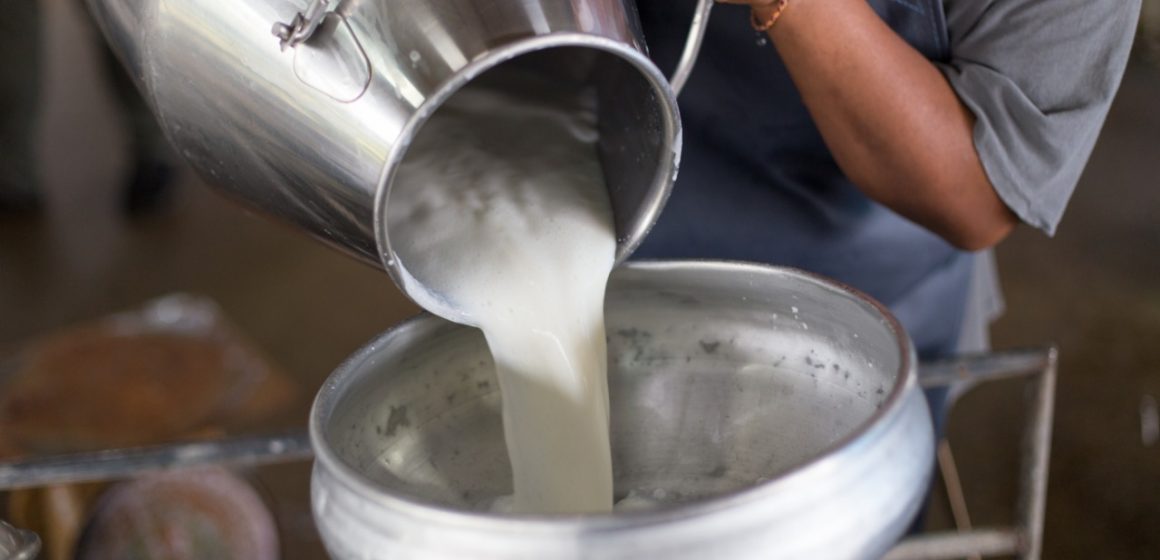 Mercado europeo de productos lácteos aún busca reponerse del impacto Covid-19