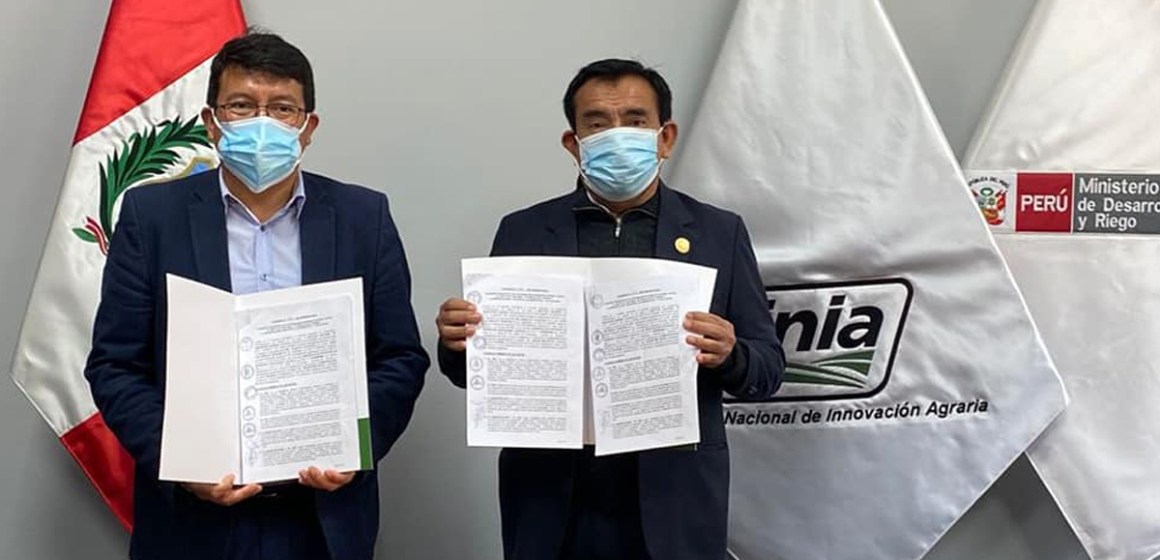 INIA concreta convenio de mejoramiento genético de ganado vacuno en Morropón, Piura