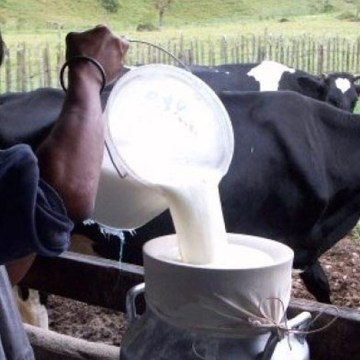 Midagri aprueba seguro de cofinanciamiento agropecuario