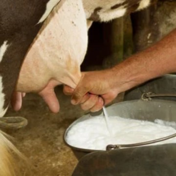 Producción de leche cruda de vaca se incrementó en 3.0% en tercer trimestre de 2021