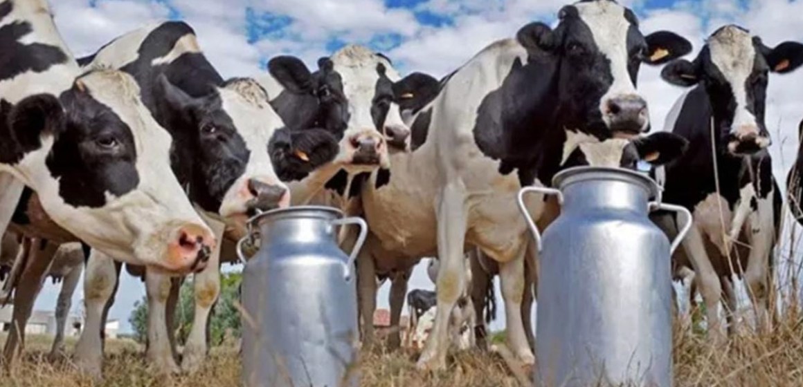 Factores que impactan la producción láctea desde una perspectiva económica