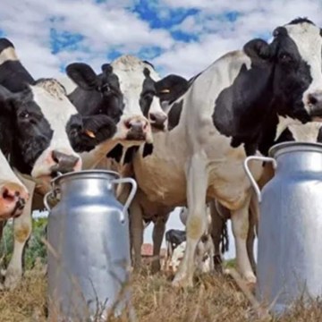 Factores que impactan la producción láctea desde una perspectiva económica