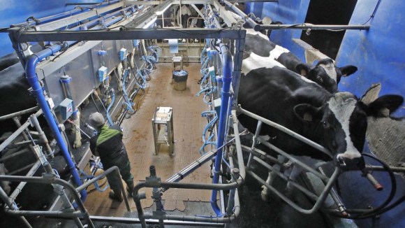 Europa duplicará su producción de leche cruda en los próximos10 años