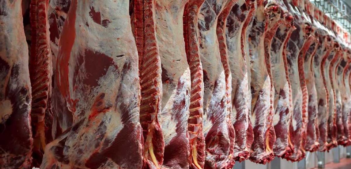 Argentina reportó en febrero ingresos de US$ 260 millones en exportación de carne de res
