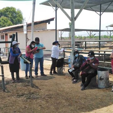 Capacitan sobre instalación de núcleos genéticos de ganado en Huarochirí y Cajatambo