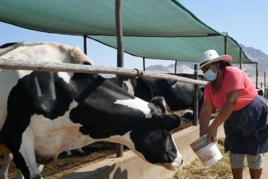 Agalep respalda cambios a Reglamento de la Leche y Productos Lácteos