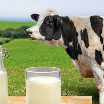 Leche fresca de vaca, factor nutricional fundamental a nivel global