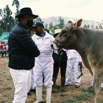 Junín invita a participar en su VII Expo Feria Agropecuaria Concepción 2023