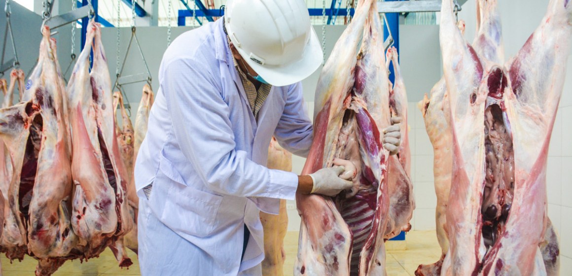 Noticia-senasa-julio-01 Perú mejorará la oferta de alimentos cárnicos inocuos con 124 mataderos autorizados