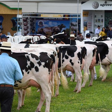 IX Feria Nacional de Ganado Lechero Holstein y Brown Swiss : Celebrará la Pasión por la Ganadería