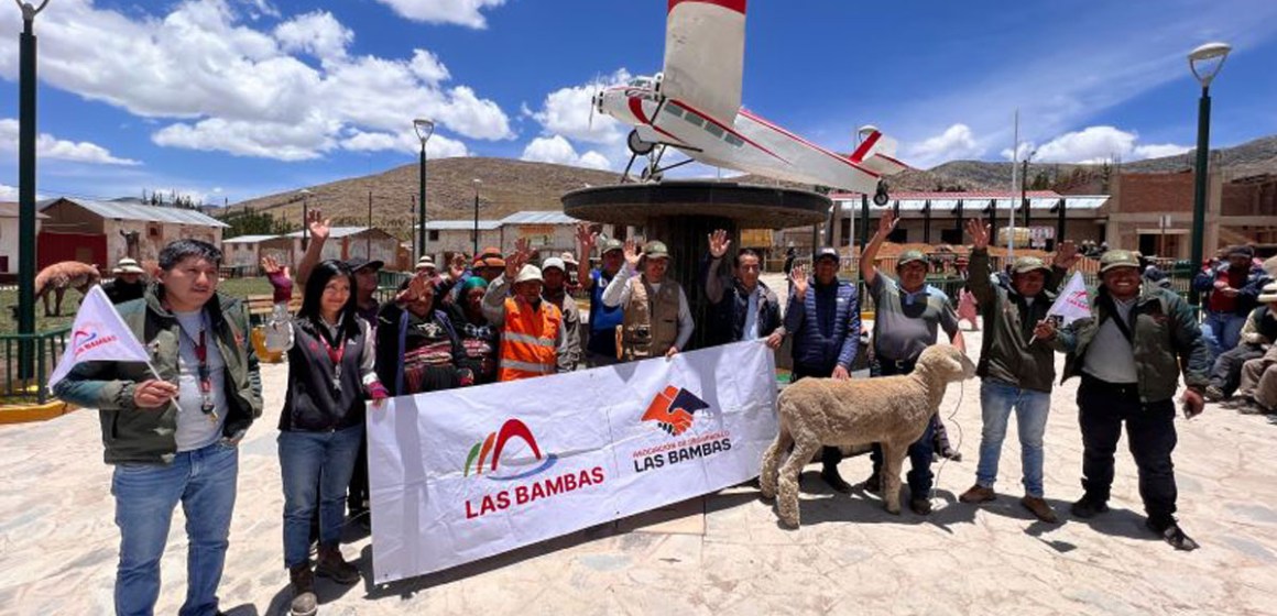 Impulsan fortalecimiento y mejora genética de ovinos en Apurímac