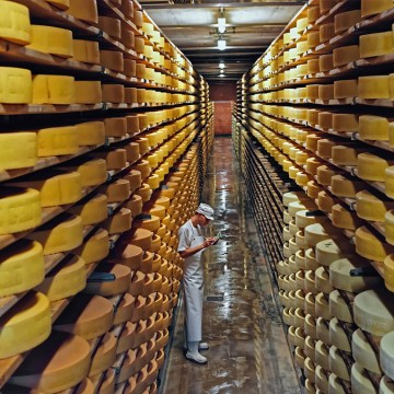 Desafíos y perspectivas para las exportaciones lácteas de EE. UU. en 2024