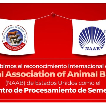 WEB Banco Nacional de Semen del Perú recibe reconocimiento internacional de la NAAB (USA)
