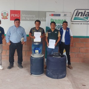 Mejoran calidad genética del ganado vacuno en Amazonas