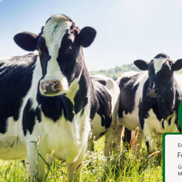 Invetsa y MSD Animal Health realizan valioso webinar sobre control de la mastitis