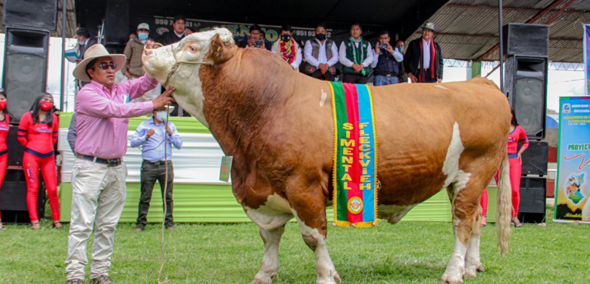 Puno: Todo va quedando listo para Fegasur 2024