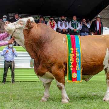 Puno: Todo va quedando listo para Fegasur 2024