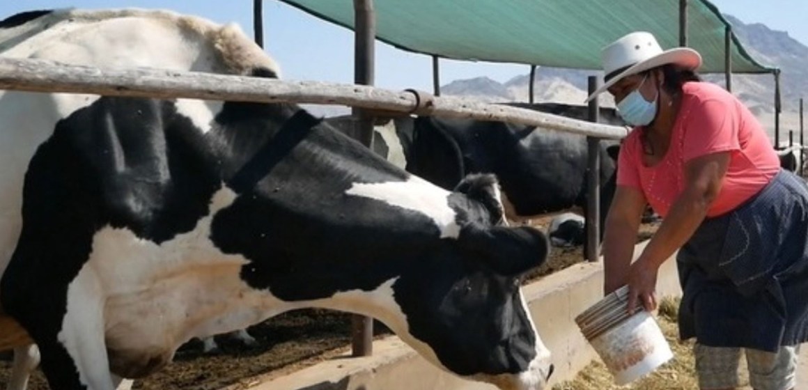 WEB Declaran de interés nacional desarrollo de la ganadería sostenible