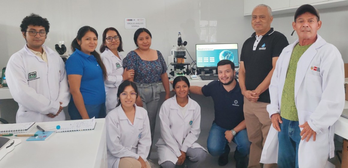 web Huaral: Implementan primer sistema computarizado para analizar calidad de semen de ganado vacuno