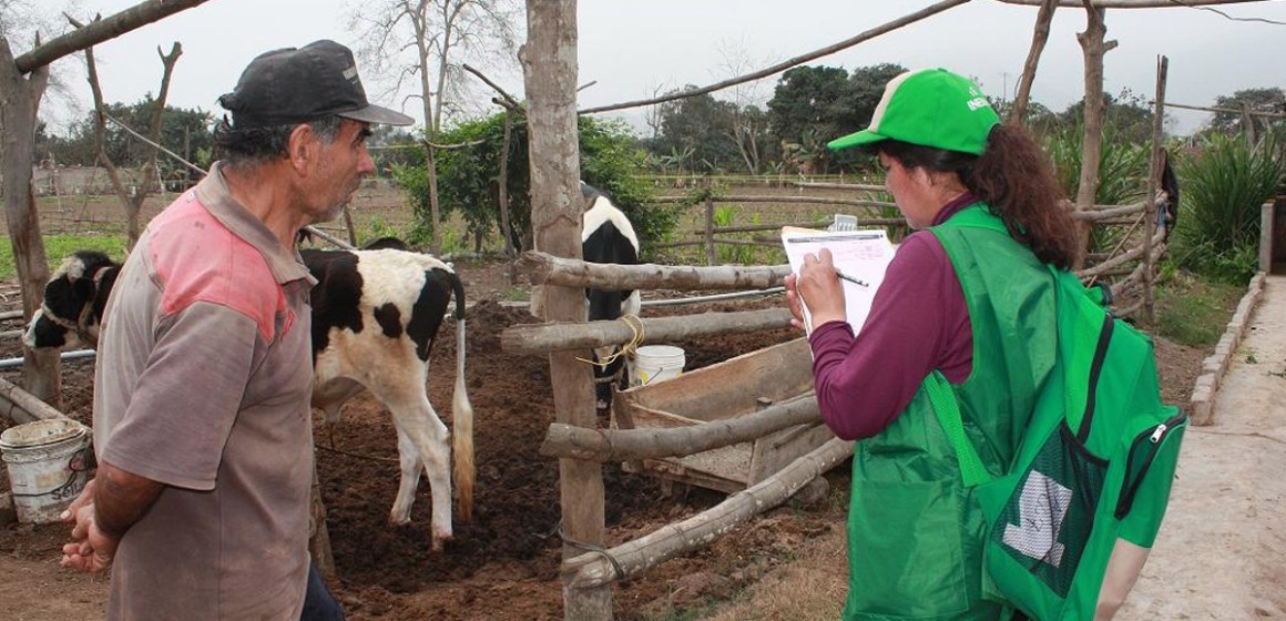 INEI inicia la Encuesta Nacional Agropecuaria 2024, conozca cómo se realiza