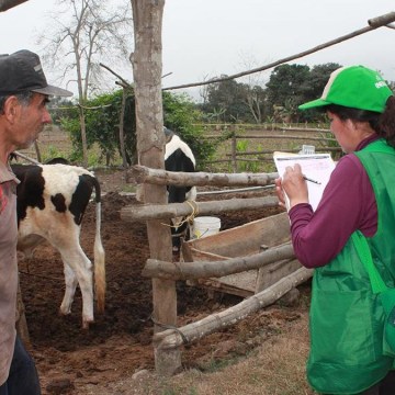 INEI inicia la Encuesta Nacional Agropecuaria 2024, conozca cómo se realiza