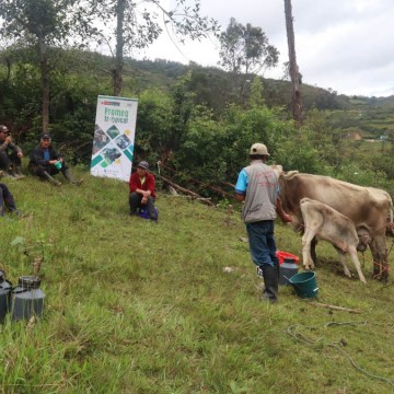 Amazonas: Capacitan a productores en metodologías para mejorar ganadería de leche
