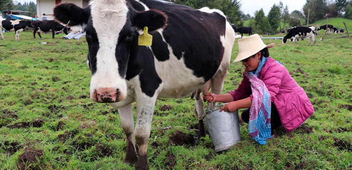 AGALEP: Sector lechero muestra recuperación tras casi tres años de crisis