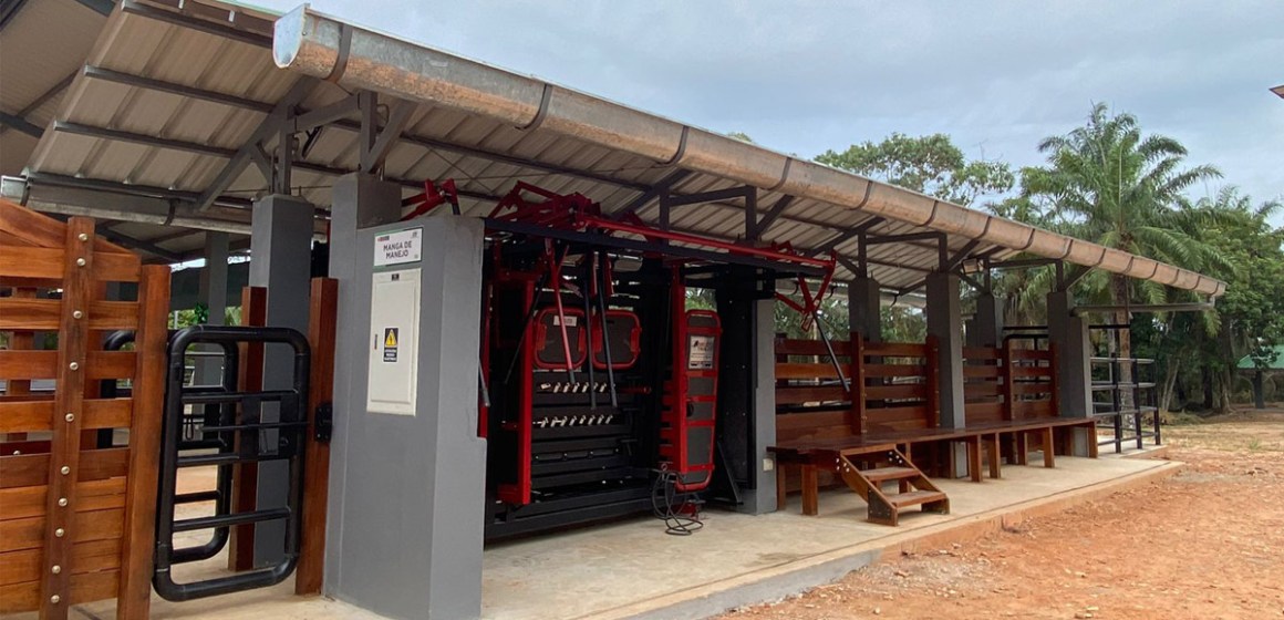 Ucayali: Inauguran módulo de manejo de ganado vacuno que beneficiará a más de 1,500 ganaderos