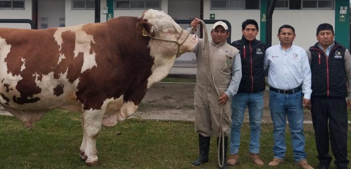 Capacitan a funcionarios municipales de Chota en producción de material genético vacuno