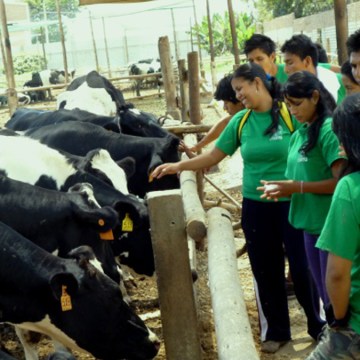 INTAP ofrece programa Zootecnia y Sanidad Pecuaria, siendo el único instituto licenciado del Perú