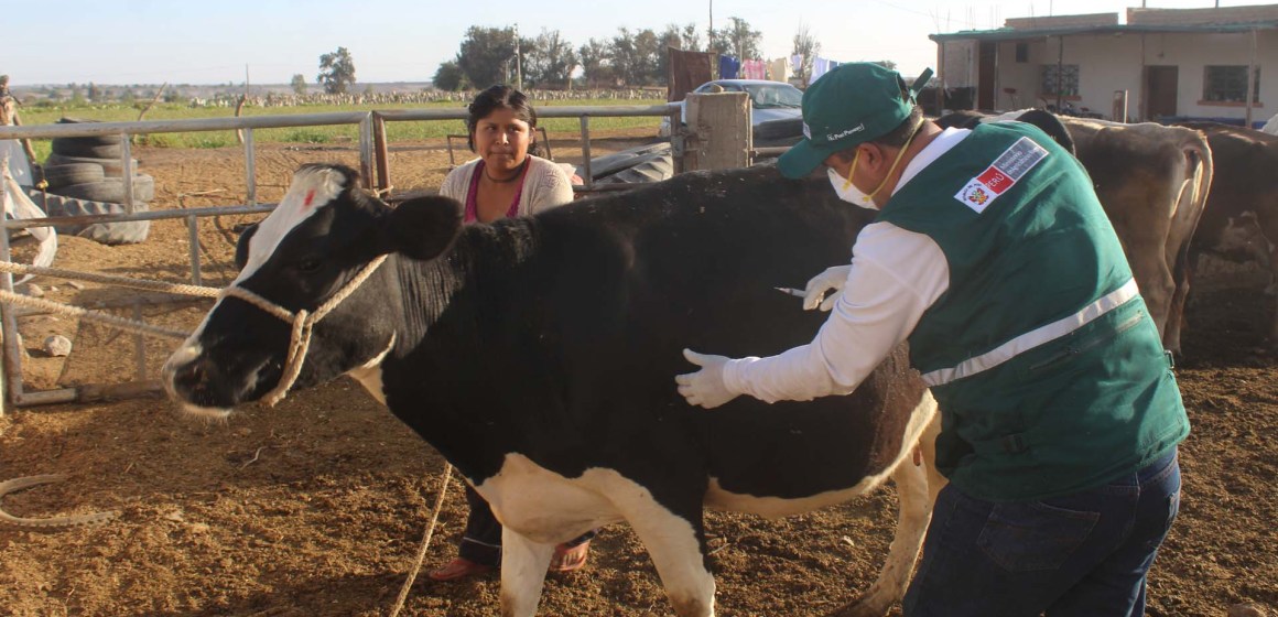 Sector agropecuario inicia el 2025 con presupuesto de S/ 3,369 millones