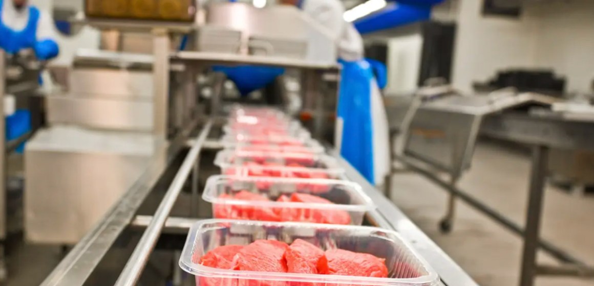 Carne brasileña: expansión global con récords en res y pollo en 2024