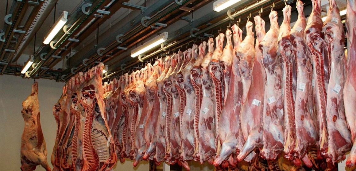 ganado Perspectiva para 2035: Producción cárnica de la UE