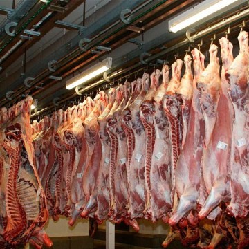 Perspectiva para 2035: Producción cárnica de la UE