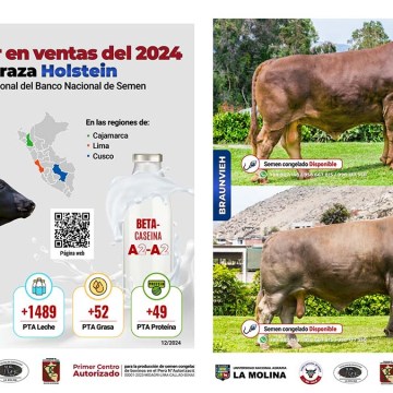 BNS presenta opciones de alta genética bovina para nuestra ganadería