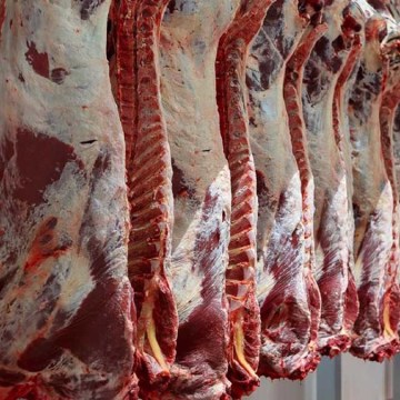Exportación de carne peruana: los desafíos que debemos superar