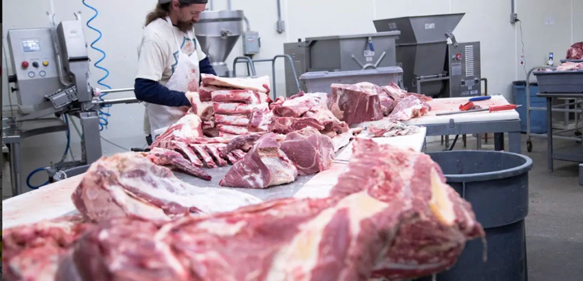 Rendimiento en canal: indicador esencial de productividad en la industria ganadera