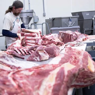 Rendimiento en canal: indicador esencial de productividad en la industria ganadera