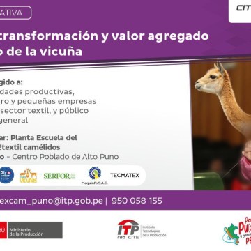 Realizarán taller sobre el procesamiento de fibra de vicuña en Puno