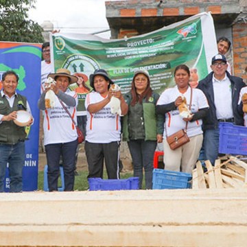 WEB Junín: Implementan módulo demostrativo para fortalecer crianza tecnificada de cuyes