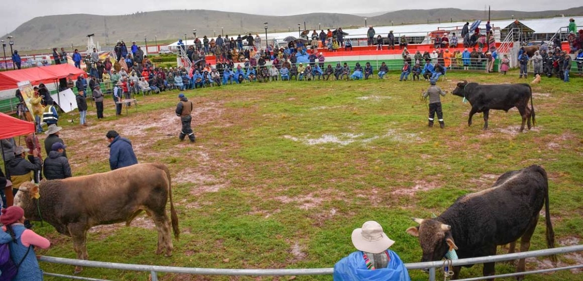 Impulsando el desarrollo ganadero: realizan con éxito el 1er Expo Toro 2025